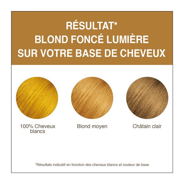 Terre De Couleur -- Coloration végétale blond foncé lumière - 100 g